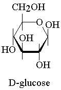 glucose structural  model