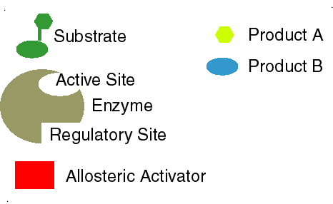 allosteric effect animation