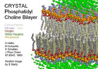 modern bilayer model