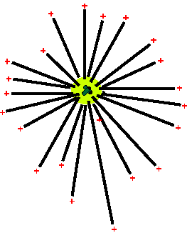 centrosome image
