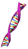 DNA rotating animation
