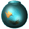 fishbowl