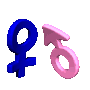 male female symbols
