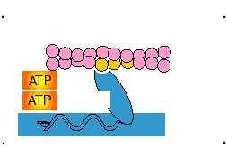 Power stroke animation