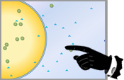 pointing at a slide