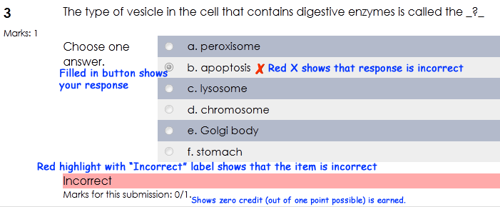 Mutliple choice item marked incorrect in Moodle