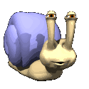 snail