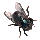 fly