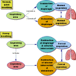 Respiration control flow chart