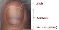 nail