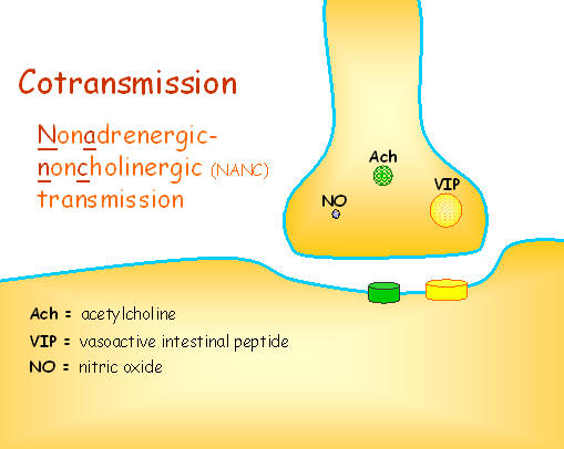 cotransmission