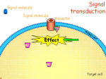 signal transduction
