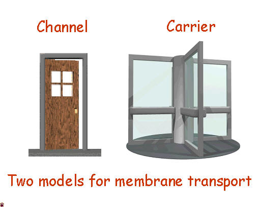channel - carrier models