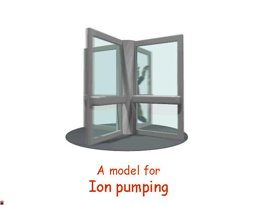 ion pump model