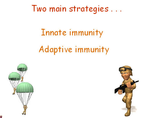 immune strategies