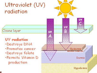 UV penetration