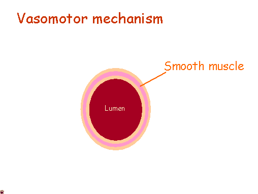membrane categories